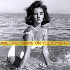 Photograph Collectible Print 8x10 Hollywood Golden Girl Actress Elizabeth Taylor
